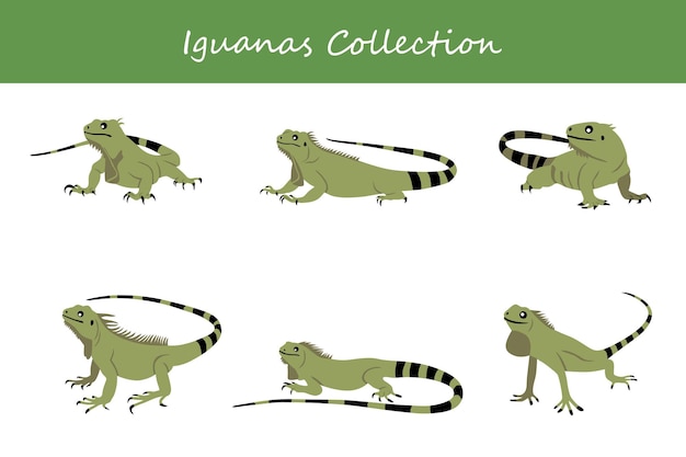 Vecteur collection d'iguanes hyènes dans différentes poses illustration vectorielle