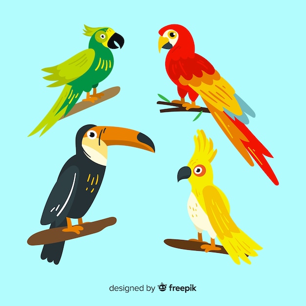 Collection d&#39;oiseaux exotiques plats