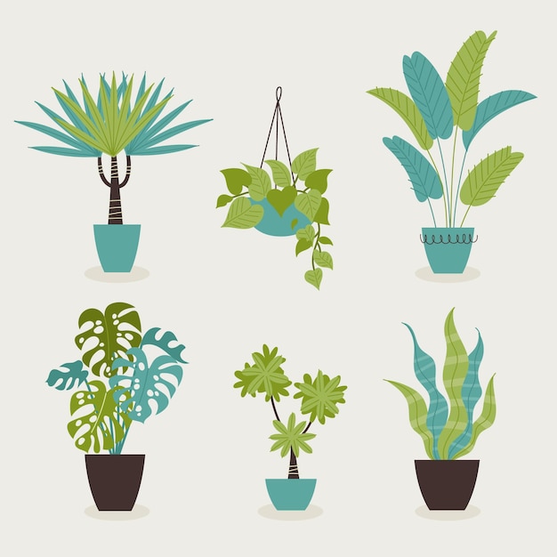 Vecteur collection de plantes d'intérieur dessinées à la main