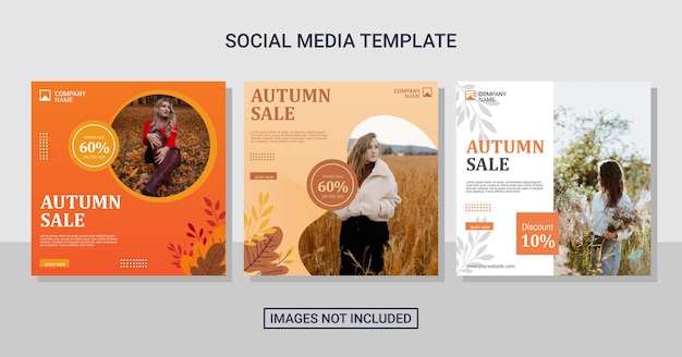 Collection de publications sur les médias sociaux de la mode d'automne