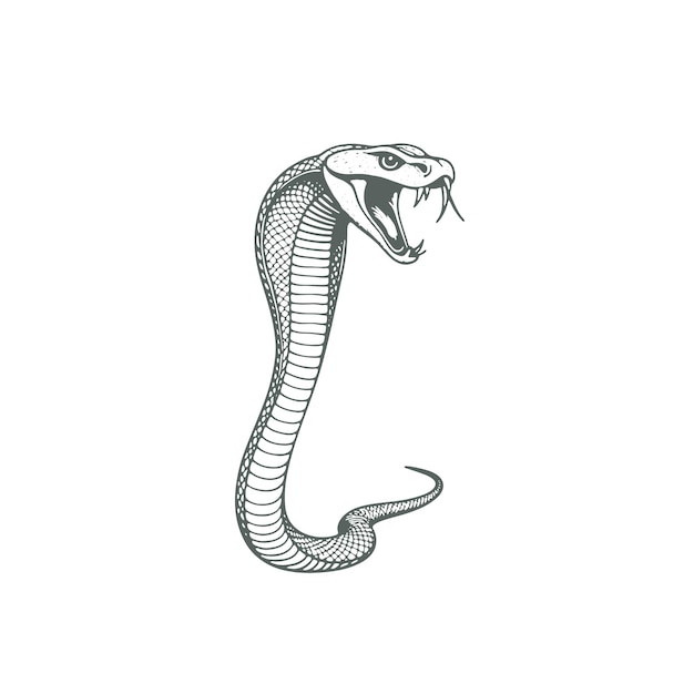 Vecteur dessin de tête de cobra dessiné à la main illustration vectorielle d'animaux sauvages