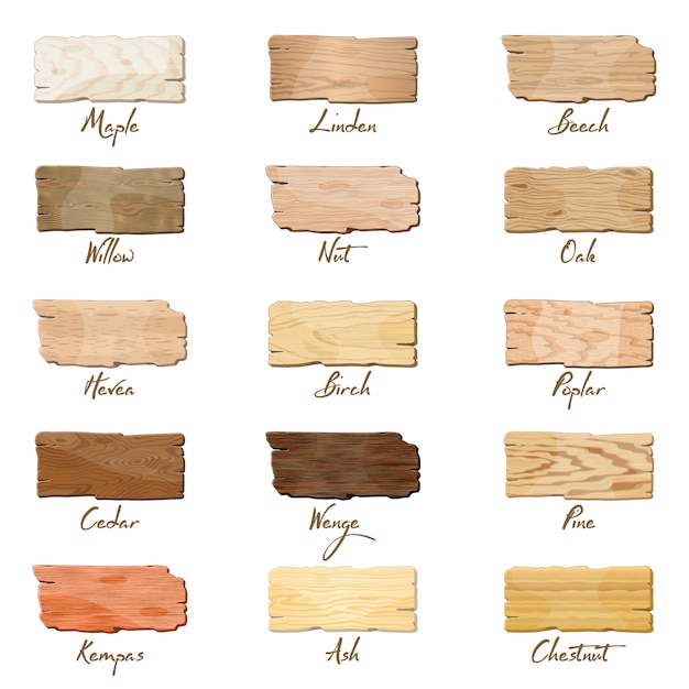 Différents types de planches en bois