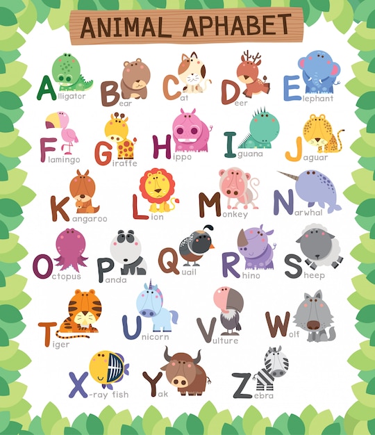 Éducation de l'alphabet des animaux pour les enfants