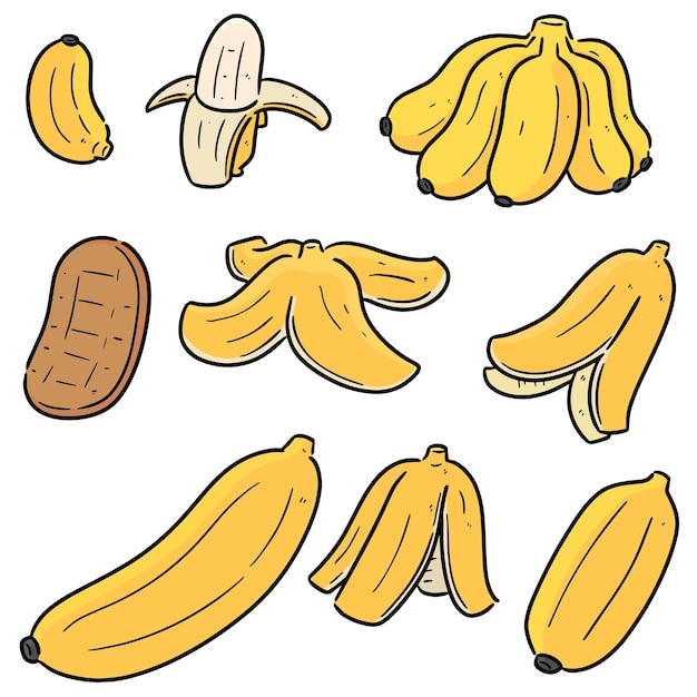 ensemble de banane