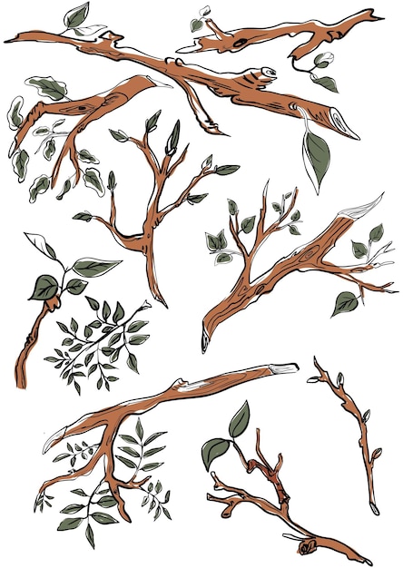 Vecteur un ensemble de branches avec des feuilles vertes et des bourgeons imprimer pour l'affiche de printemps et le dessin animé de fond