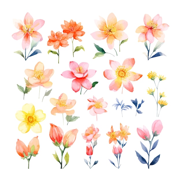 Ensemble de clipart de fleurs de pied de fou aquarelle