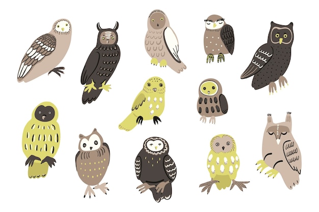 Vecteur ensemble d'illustrations d'animaux de la forêt d'oiseaux de hiboux