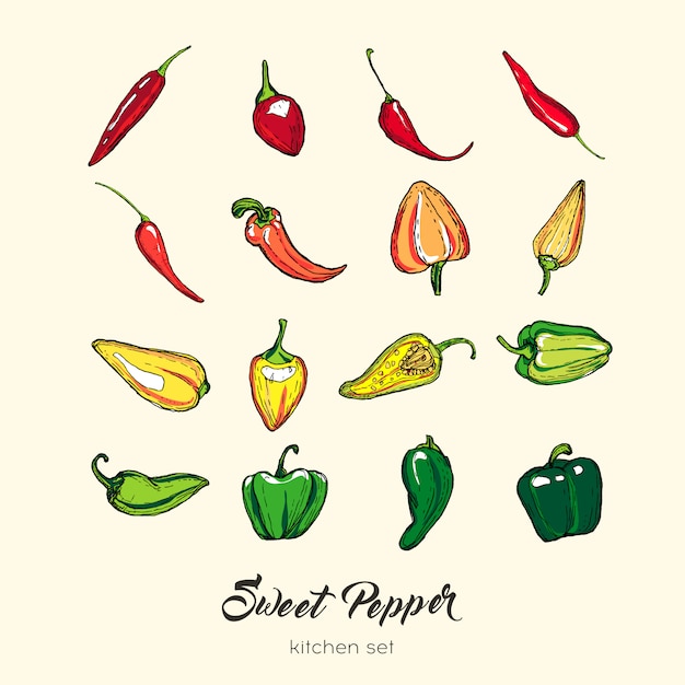 Vecteur ensemble d'isolat de poivre. illustration dessinée à la main paprika capsicum piment rouge piment rouge