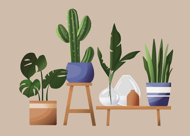 Vecteur fleurs ménagères en pots. belle illustration dans un style scandinave. feuilles tropicales, vases, pots, support de fleurs. dessin dans un style plat de dessin animé