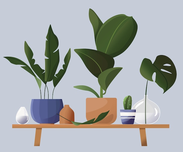 Vecteur fleurs ménagères en pots. belle illustration dans un style scandinave. feuilles tropicales, vases, pots, support de fleurs. dessin dans un style plat de dessin animé