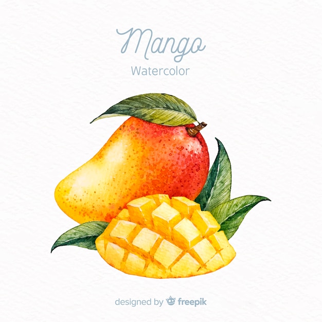 Vecteur fond de mangue dessiné à la main