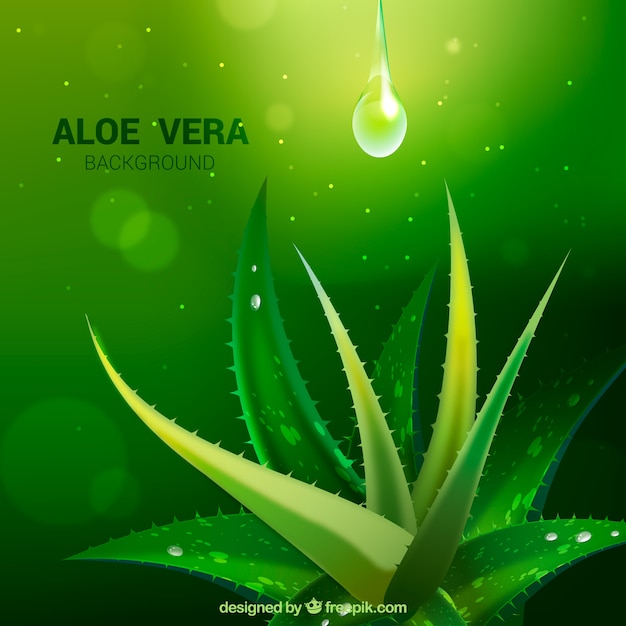 Vecteur fond vert avec aloe vera et gouttes