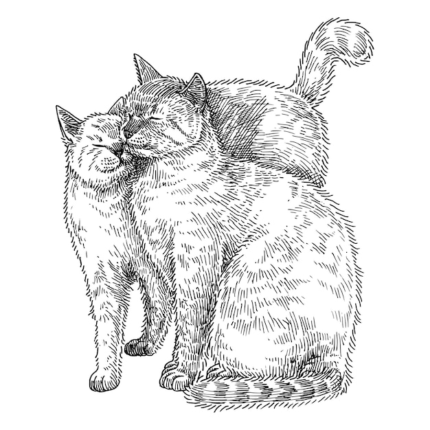 Illustration de câlins de chats mignons