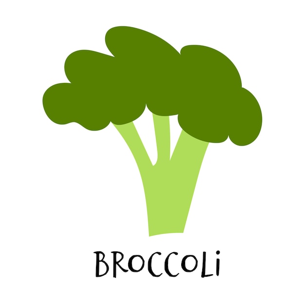 Illustration vectorielle de brocoli dans un style plat dessiné à la main Doodle légume frais et sain