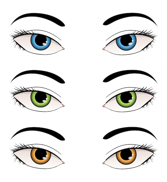 Illustration des yeux féminins