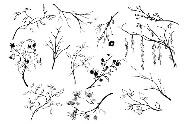 Vecteur illustrations dessinées à la main de diverses branches de plantes pour des projets de conception botanique