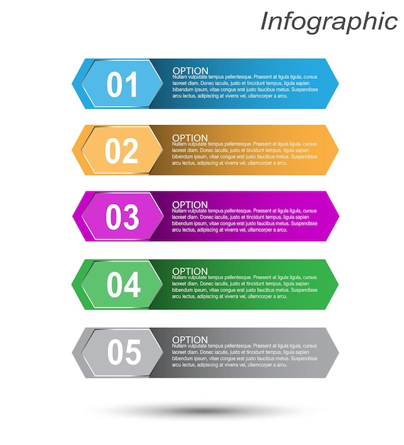 Infographies avec étapes et options