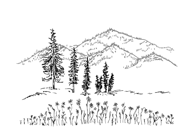 Paysage vectoriel dessiné à la main avec des arbres de montagnes et des fleurs dans la vallée de la montagne Sommet de la montagne