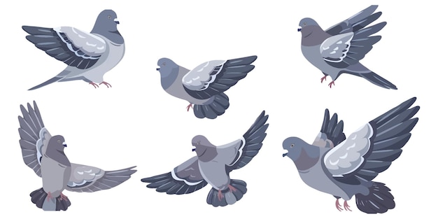 Vecteur petit pigeon gris dans différentes poses style de conception plat avec des formes simples et des couleurs solides pas d'ombres sur fond blanc