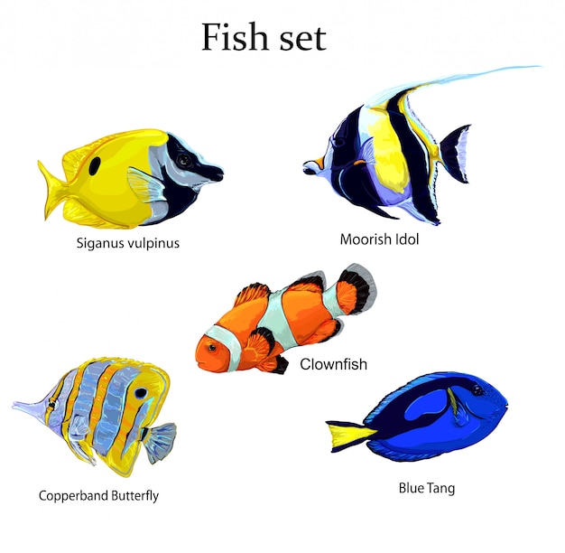 Poisson set vector illustration