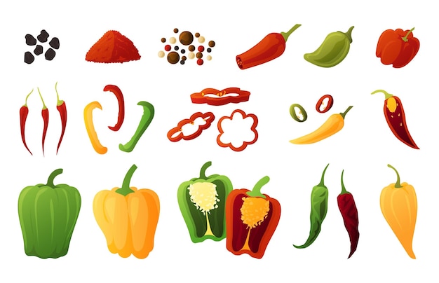 Vecteur poivron légumes biologiques de dessin animé jalapeno vert et paprika doux orange cultures agricoles piment rouge et tranches de piment fort collection d'assaisonnements épicés isolés ensemble d'ingrédients culinaires vectoriels