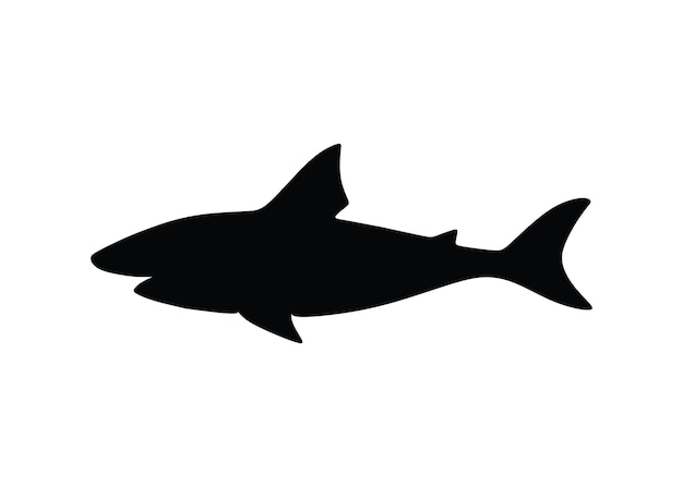 les requins sont noirs et effrayants