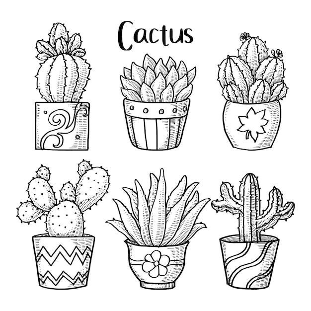 Sélection de cactus mignons dessinés à la main