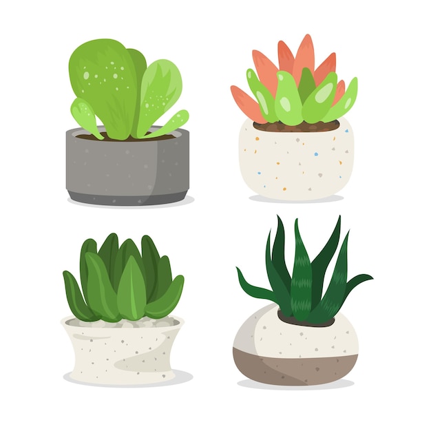 Set d'illustrations pour le pot de plantes vertes