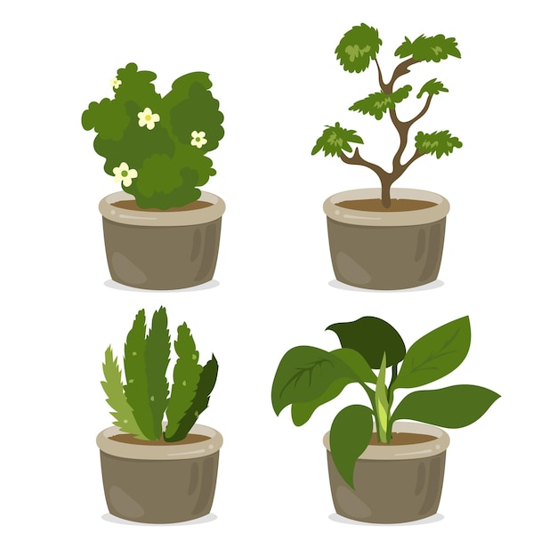 Set d'illustrations pour le pot de plantes vertes