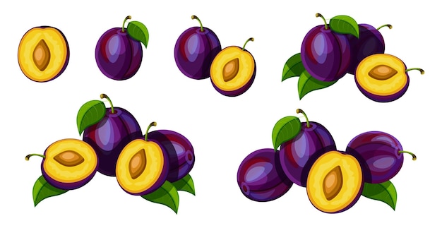 Vecteur set de prunes violettes fraîches dans le style de dessin animé illustration vectorielle de fruits savoureux entiers et coupés en grandes et petites tailles avec des feuilles vertes isolées sur fond blanc