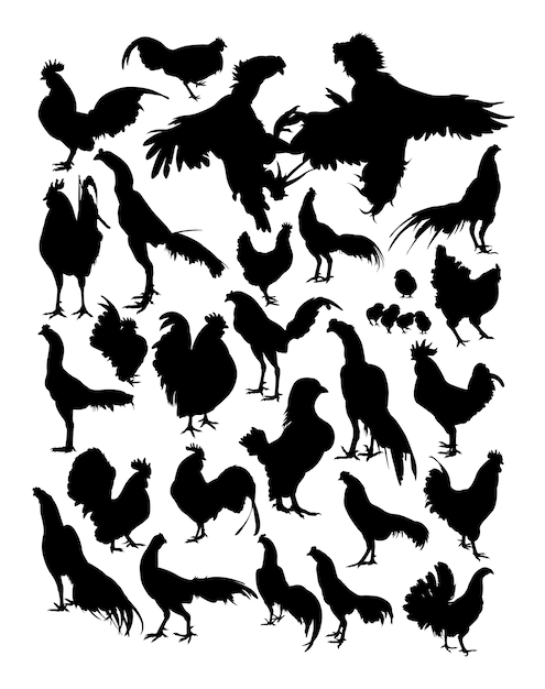 Vecteur silhouette de poule et coq