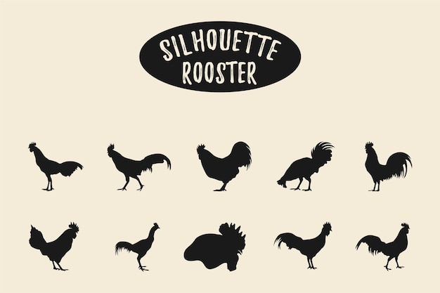 Vecteur silhouettes de coq silhouettes de poulet isolé sur fond blanc