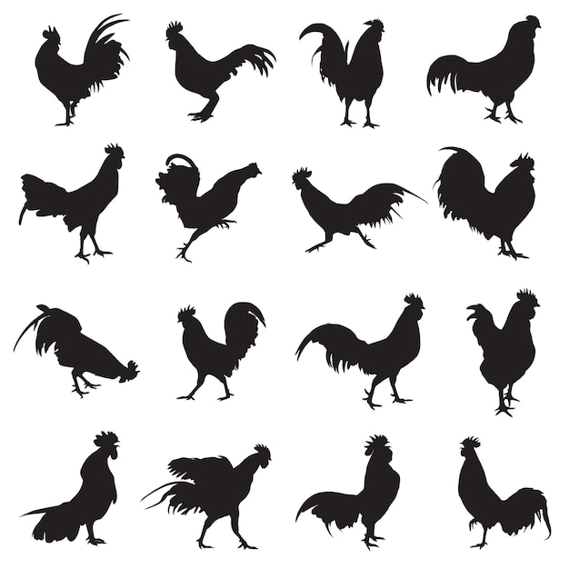 Vecteur silhouettes de coq