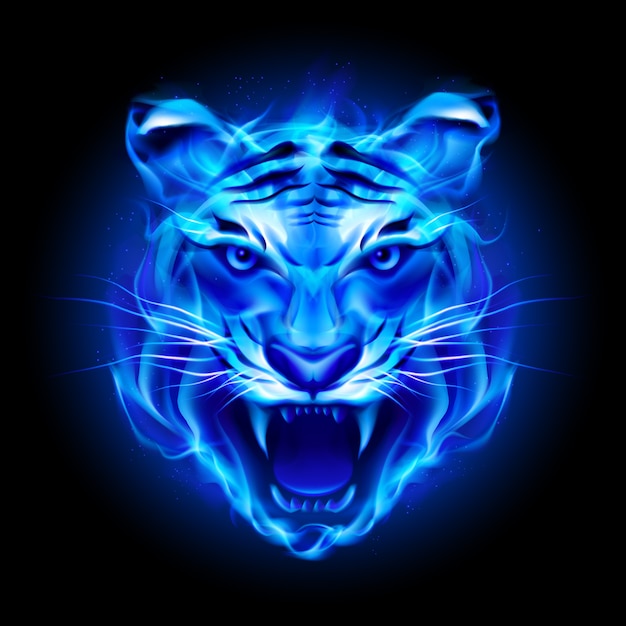 Tête de tigre de feu bleu