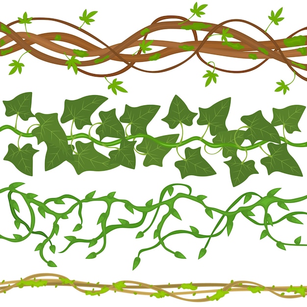 Vecteur le vecteur des branches de lianes sauvages vertes des dessins animés