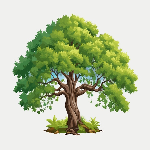 Vecteur d'illustration d'arbre