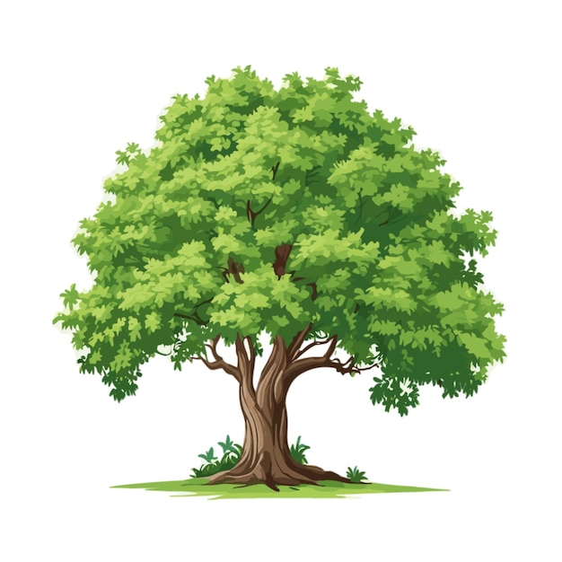 Vecteur d'illustration d'arbre