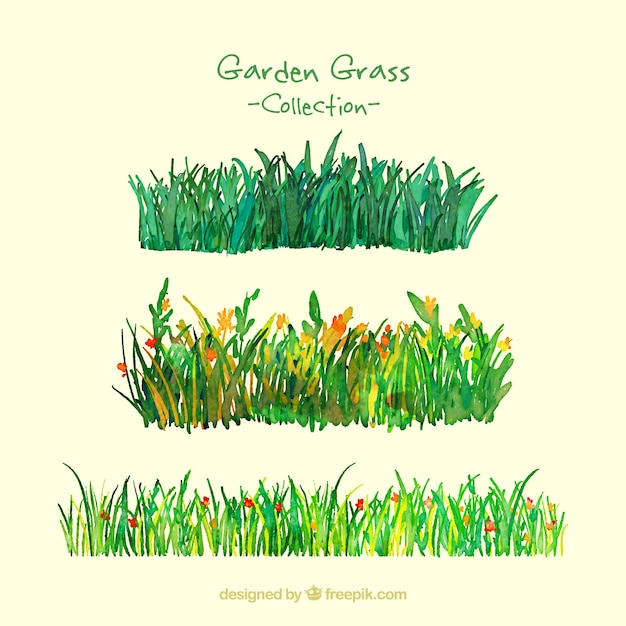 Aquarell Garten Gras Pack