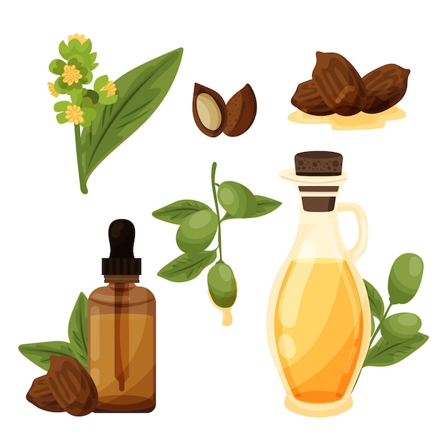 Detaillierte Jojoba-Elementsammlung