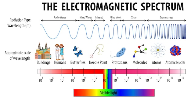 Kostenloser Vektor diagramm des elektromagnetischen spektrums der wissenschaft