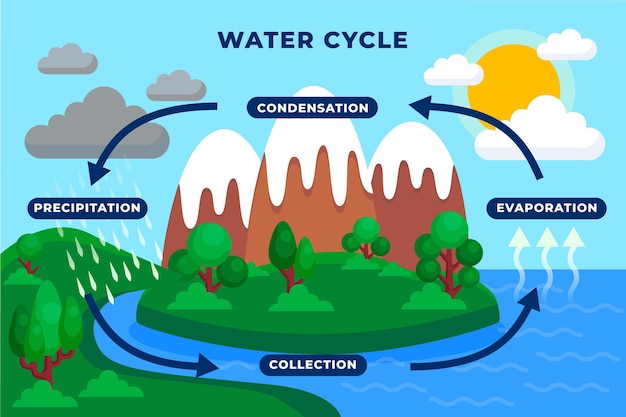 Kostenloser Vektor flache darstellung des wasserkreislaufs