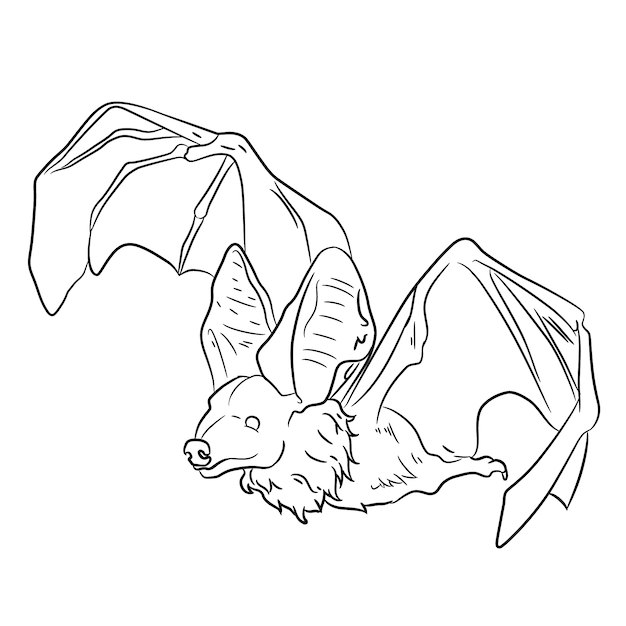 Kostenlose Vektor hand gezeichnete fledermaus-umrissillustration