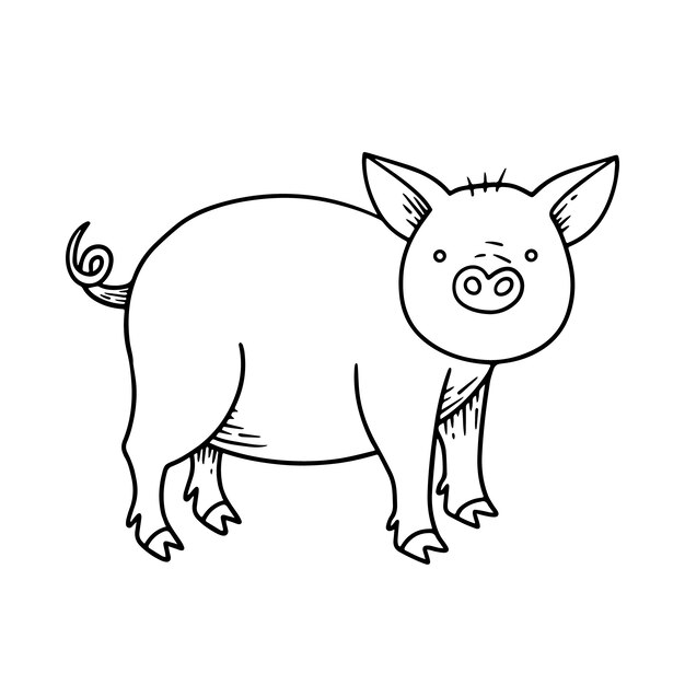 Hand gezeichnete Schwein-Umrissillustration