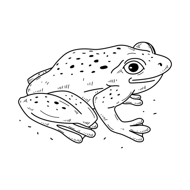 Handgezeichnete Frosch-Umrissillustration