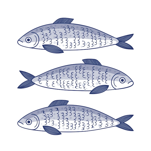 Handgezeichnete Sardinenillustration