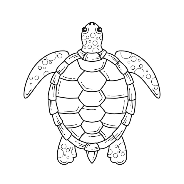 Kostenloser Vektor handgezeichnete schildkröten-umrissillustration