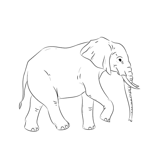 Handgezeichneter flacher Design-Elefant-Umriss