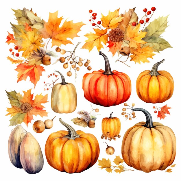 Herbst Thanksgiving Aquarell Clipart weißer Hintergrund