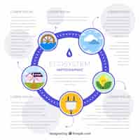 Kostenloser Vektor infographic konzept des ökosystems