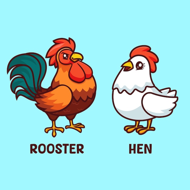 Kostenlose Vektor schöne huhn hahn und henne zeichentrickfilm vektor icon illustration tier natur icon isolated flat